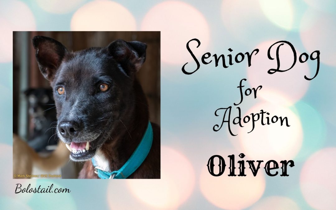 Senior of the Week – Oliver