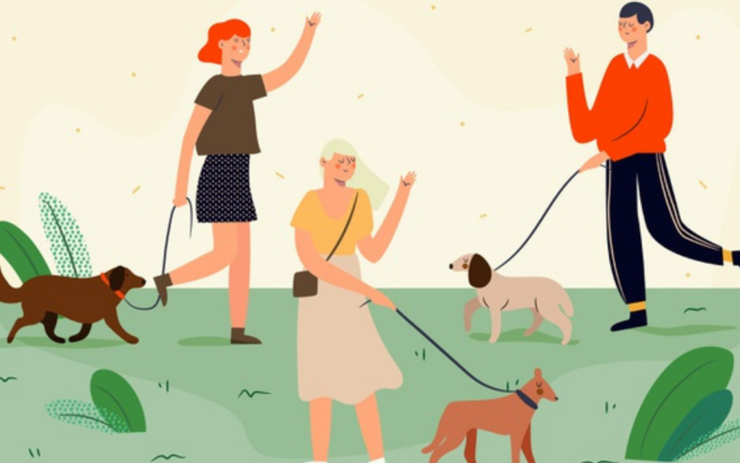 Connect with Other Senior Dog Enthusiasts